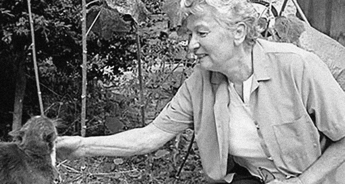 Éliane Radigue (Photo: Delphine Migueres, Creative Commons)