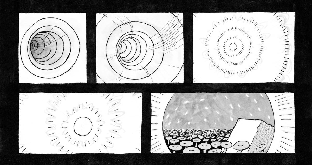 Illustration: Daire Gaj